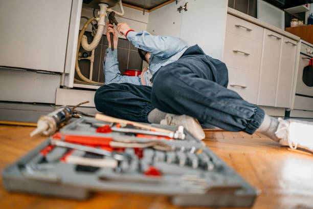 Best Clogged Drain Plumber  in Stillwater, MN